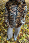 TIGER PRINT FLEECE